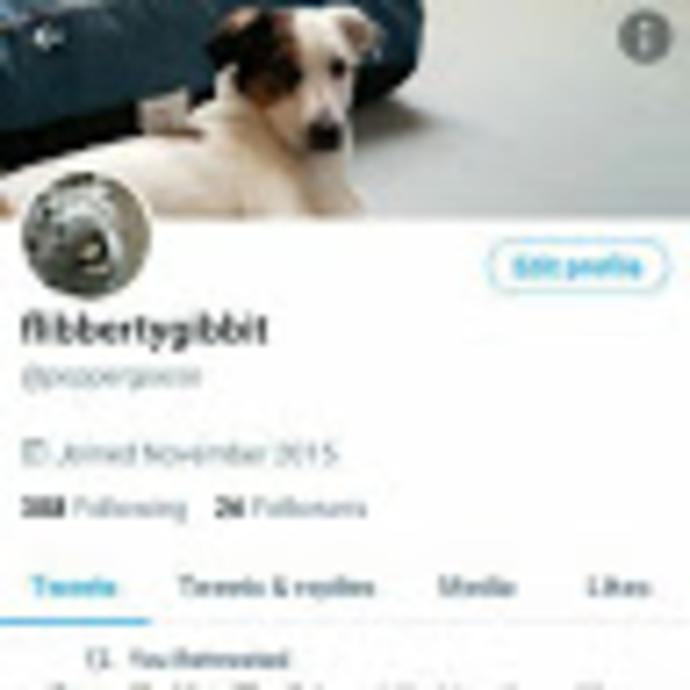 Meet your Posher, Flibbertygibbit